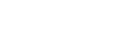 Zx Auto