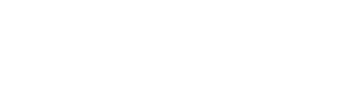 dulevo logo
