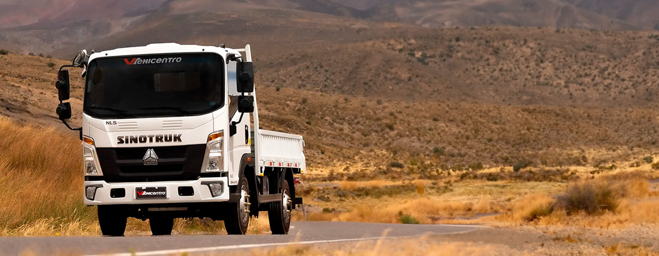 Property 1=sinotruk-1